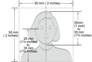 Passport photo size by country reference chart showing dimensions for US UK Canada India China and Schengen countries Passport photo dimensions vary by country — here's the complete 2026 reference